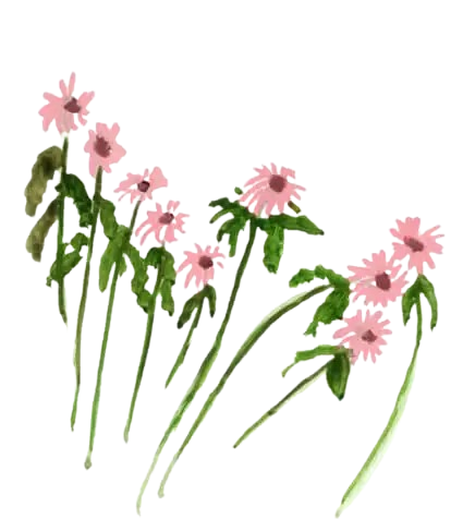 Flowers decoration